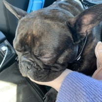 Thumbnail of Charlotte  B.