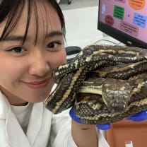 Thumbnail of Hina H.