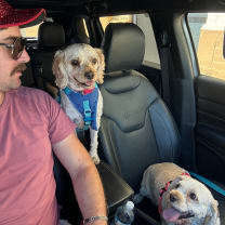 Thumbnail of Harley A.