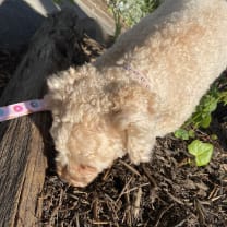 Thumbnail of Skylah F.