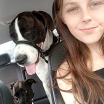 Thumbnail of Laiken V.