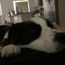 Thumbnail of Gillian t.