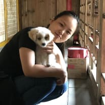 Thumbnail of Ningli Z.