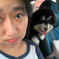 Thumbnail of Yimeng L.