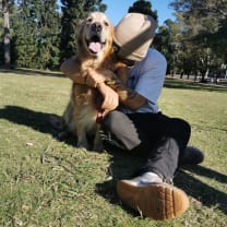 Thumbnail of Bruno  B.