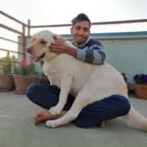 Thumbnail of Mohit N.
