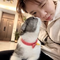 Thumbnail of zhizhao h.