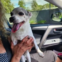 Thumbnail of Liliana P.