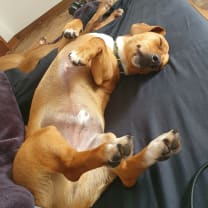 Thumbnail of Matthew M.