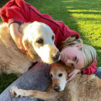 Thumbnail of indi c.