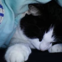 Thumbnail of Emma T.