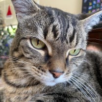 Thumbnail of Taylor C.