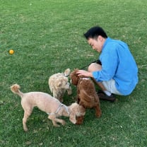 Thumbnail of Euiju H.