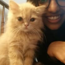 Thumbnail of Saumya K.