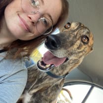 Thumbnail of Brittany C.