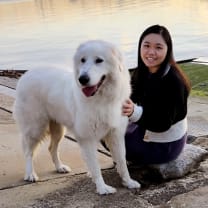 Thumbnail of Weijun C.