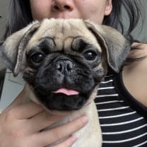 Thumbnail of Yao  Y.