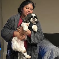 Thumbnail of Nipunika  D.