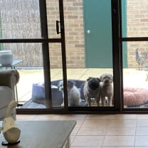 Thumbnail of susan B.