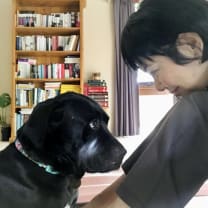 Thumbnail of Soyo (Sookhee) P.