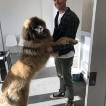 Thumbnail of Marco F.