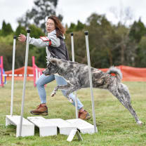 Thumbnail of Jocelyn G.