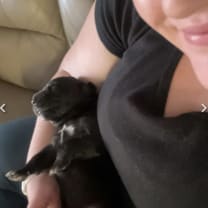 Thumbnail of Madi H.