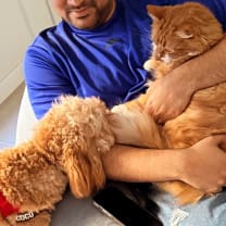 Thumbnail of Ahmed P.