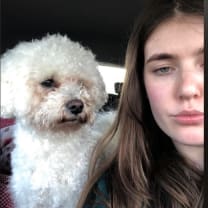 Thumbnail of india  h.