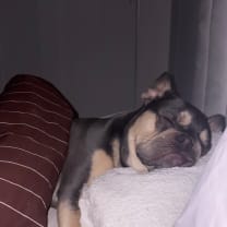 Thumbnail of Christina  H.