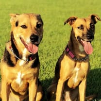 Thumbnail of Temal N.