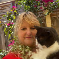 Thumbnail of Karen C.