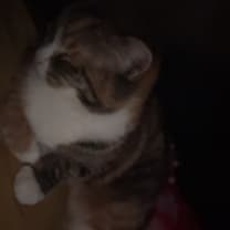 Thumbnail of Lakeysha G.