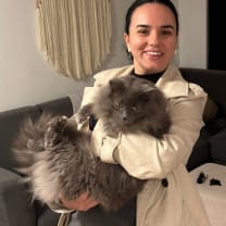 Thumbnail of Juliana and Rodrigo F.