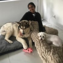 Thumbnail of Prakruti  S.