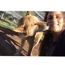 Thumbnail of Isabella V.