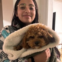 Thumbnail of Angie V.