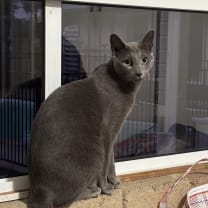 Thumbnail of Elise and Tim P.