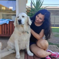 Thumbnail of Sonia & Sumeet K.