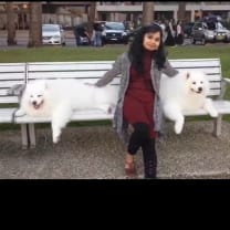 Thumbnail of Meera M.