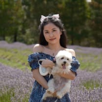 Thumbnail of Wanting H.