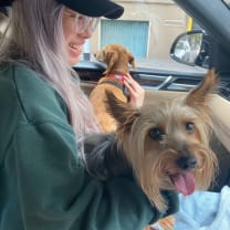 Thumbnail of Bei (Belle) Z.