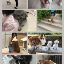 Thumbnail of Fung Ha Eunice M.