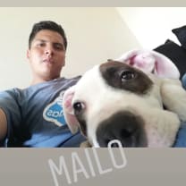 Thumbnail of junior s.