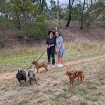 Thumbnail of Becky (Yafen) H.