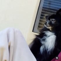 Thumbnail of Nicole T.