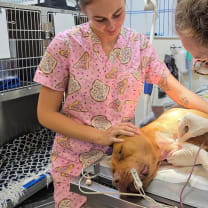 Thumbnail of brooke c.