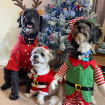 Thumbnail of Kath F.