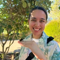 Thumbnail of Shiloh V.