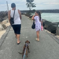 Thumbnail of Dolores  S.